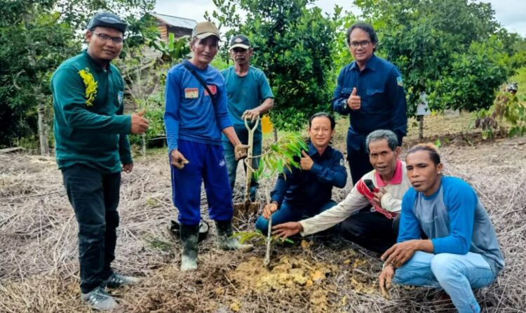 Dishut Kaltara Tingkatkan Kesejahteraan Masyarakat Melalui Penyaluran Bibit Produktif