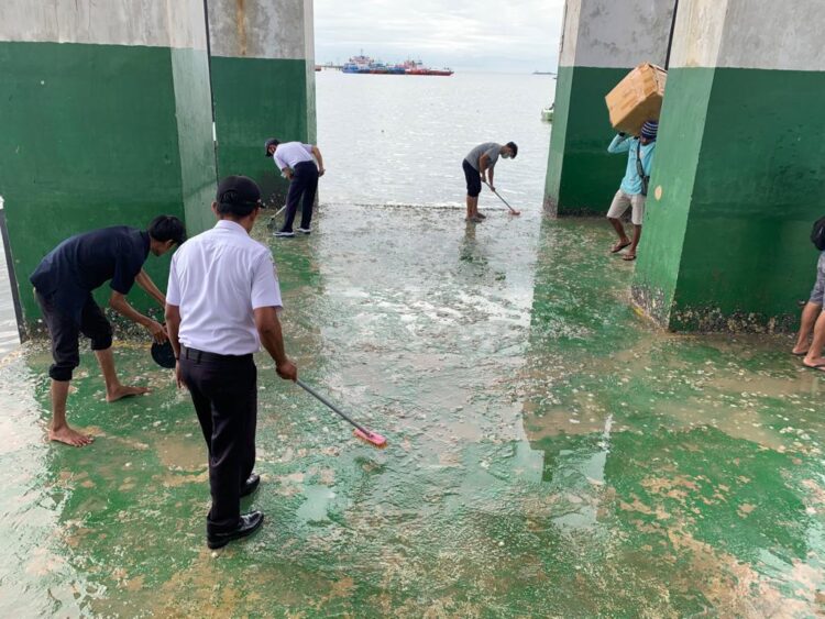 Berlumut, DISHUB Bersihkan Lantai Dermaga Pelabuhan Tengkayu 1