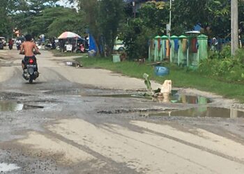 Lubang Besar di Jalan Semangka, Protes Warga dengan Tanam Pohon