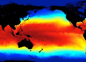 Tantangan Inflasi Kaltara di Tengah Perubahan Iklim akibat El Nino