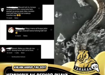 Geger, Video Kemunculan Buaya di Jembatan Bongkok Tarakan Tuai Perdebatan Warga Net