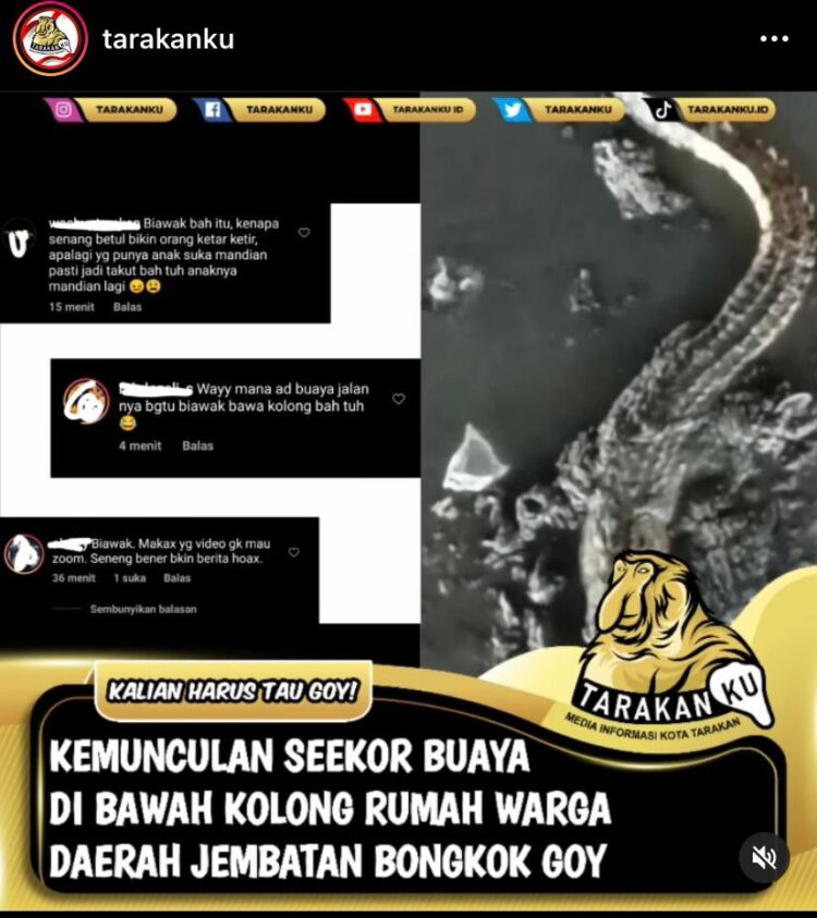 Geger, Video Kemunculan Buaya di Jembatan Bongkok Tarakan Tuai Perdebatan Warga Net