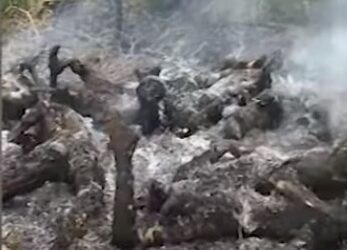 Tentara Myanmar Dituduh Membunuh dan Membakar 11 Warga