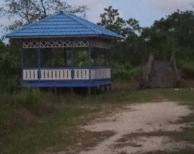 Warga RT 02 Desa Apung, Telah Lama Berharap Lampu Penerang di Dermaga