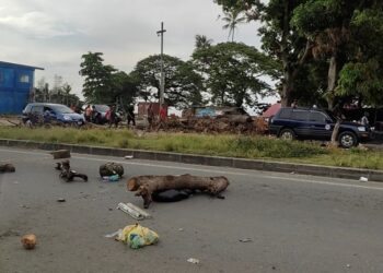 Unjuk Rasa di Kepulauan Solomon Menyebar, Australia akan Kirim Polisi dan Militer