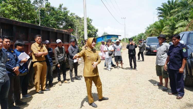 Bupati Laura Tinjau Proyek Pembangunan Jalan di Nunukan