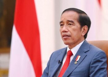 Ukraina Minta Senjata ke Indonesia, Jokowi Jawab Begini