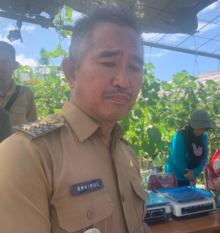 Wali Kota Tarakan, dr. Khairul