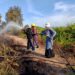 90 Persen Karhutla di Kaltara Disebabkan Ulah Manusia