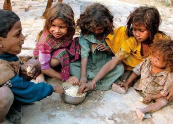 Tak Hanya Perang, Faktor Ini Juga Memicu Ancaman Krisis Pangan Global