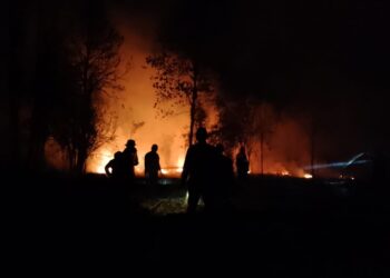 Kebakaran lahan yang terjadi di Tarakan beberapa waktu lalu. (FOTO : Dokumentasi UPTD KPH Tarakan)