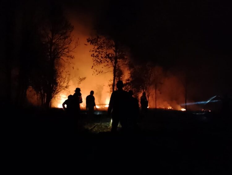 Kebakaran lahan yang terjadi di Tarakan beberapa waktu lalu. (FOTO : Dokumentasi UPTD KPH Tarakan)