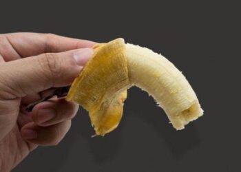 Tips untuk Warga Kaltara, Ini 3 Cara Jitu Tingkatkan Vitalitas Pria agar Tak Loyo saat Bertempur