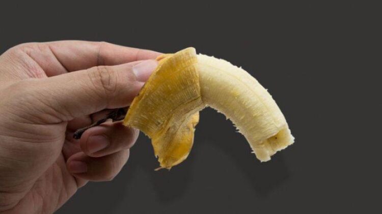 Tips untuk Warga Kaltara, Ini 3 Cara Jitu Tingkatkan Vitalitas Pria agar Tak Loyo saat Bertempur