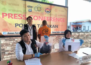 Pelaku rudapaksa kepada menantunya