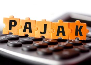 Ekonomi Belum Stabil, Harusnya Pemerintah Tak Paksa Terapkan PPN 11 Persen