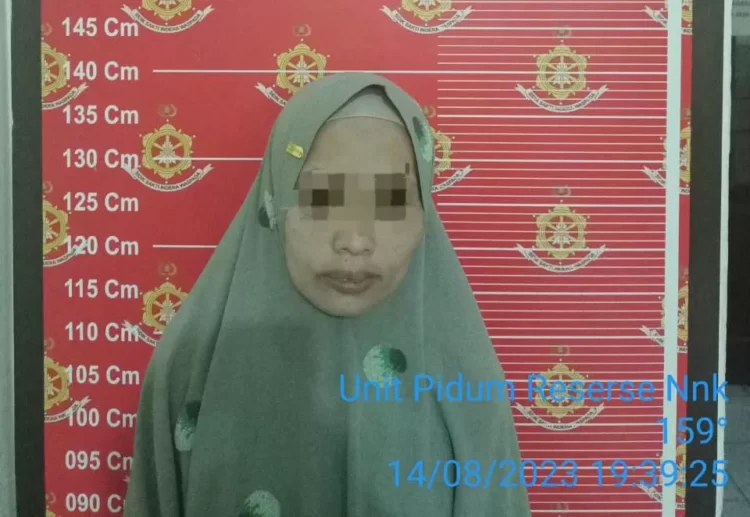 Berjilbab Percuma, Wanita Warga Sebatik Barat Ini Diringkus Usai Curi Duit Rp 20 Juta