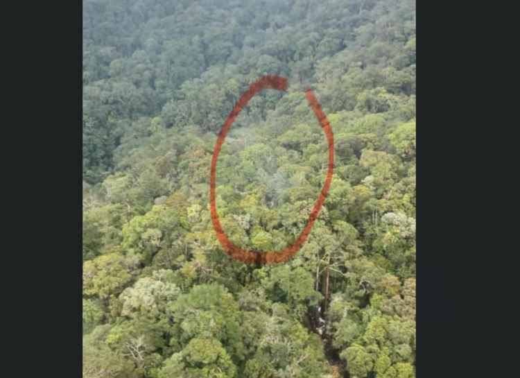 Lokasi Jatuhnya Pesawat Ditemukan, Tim SAR Ungkap Hal Ini