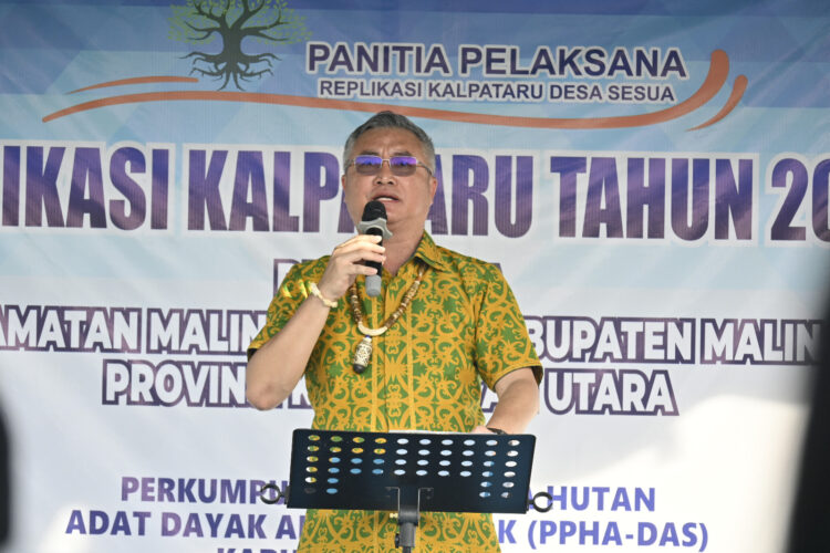 Bupati Malinau Buka Kegiatan Replikasi Kalpataru di Desa Sesua