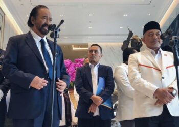 Surya Paloh-Ahmad Syaikhu Bertemu, NasDem dan PKS Hasilkan 3 Titik Temu