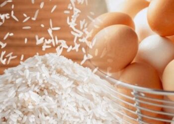 Laporan Inflasi Agustus 2022, Telur dan Beras Jadi Biang Kerok